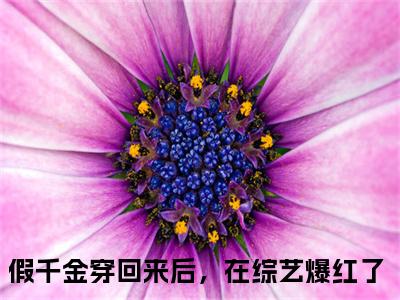 简溪顾岑川（假千金穿回来后，在综艺爆红了小说）全文免费阅读无弹窗大结局_简溪顾岑川最新章节
