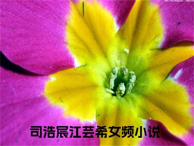 司浩宸江芸希小说免费阅读无弹窗大结局，司浩宸江芸希最新章节列表
