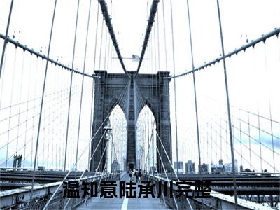 温知意陆承川小说完整版阅读 温知意陆承川呈全文在线赏析