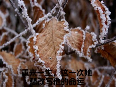 赵启月顾思铭（重来一生，这一次她想改写他的命运）全文免费阅读无弹窗大结局_重来一生，这一次她想改写他的命运最新章节列表_笔趣阁（重来一生，这一次她想改写他的命运）