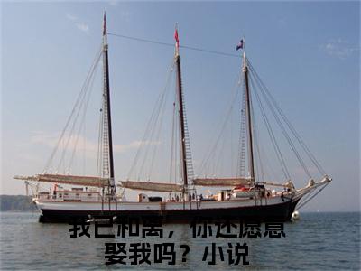 我已和离，你还愿意娶我吗？（祁云渊温琉璃）小说免费阅读完结版-我已和离，你还愿意娶我吗？小说全文免费阅读