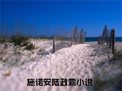 施诺安陆政霖小说最新章节-施诺安陆政霖在线阅读