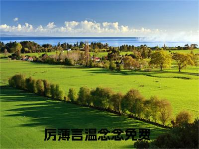 厉薄言温念念在线阅读-正版小说《厉薄言温念念》厉薄言温念念全文阅读
