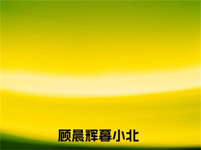 顾晨辉暮小北全文免费阅读无弹窗大结局_顾晨辉暮小北(顾晨辉暮小北)最新章节列表_笔趣阁