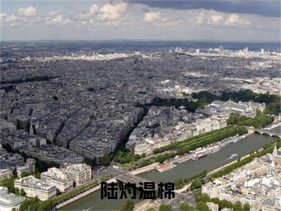 陆灼温棉（趣味）全文免费阅读大结局_趣味无弹窗最新章节列表
