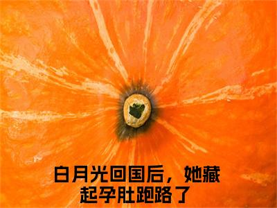 厉霆西苏又灵（白月光回国后，她藏起孕肚跑路了）在哪免费看-厉霆西苏又灵小说（白月光回国后，她藏起孕肚跑路了）全文完整版免费阅读