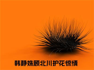 护花惊情（韩静姝顾北川）全文免费阅读无弹窗大结局_护花惊情小说精彩免费试读