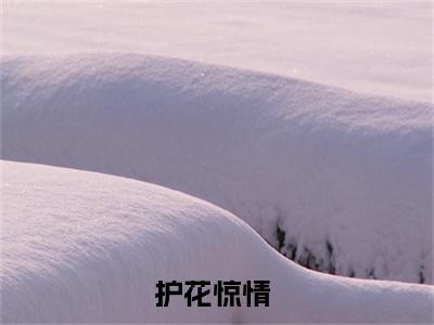 护花惊情小说（韩静姝顾北川）全文免费阅读无弹窗大结局_（护花惊情免费阅读全文大结局）最新章节列表