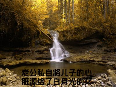 【新书】《季承礼姜晓柠》全文免费阅读无弹窗大结局-老公私自将儿子的心脏源给了白月光的女儿全章节免费阅读