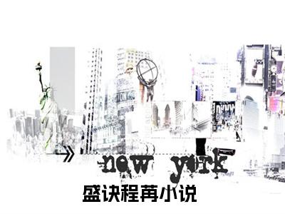 盛诀程苒（盛诀程苒）小说-盛诀程苒小说免费最新章节列表
