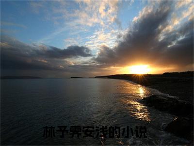 （林予霁安浅）是什么小说-（林予霁安浅）无弹窗免费阅读大结局最新章节列表_笔趣阁
