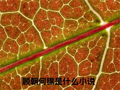 (热推新书)美文摘抄（顾朝何锦）主人公为（顾朝何锦）的小说 顾朝何锦大结局全文免费阅读_笔趣阁