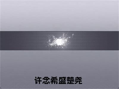 他终究是把属于她的心，彻底交给了别人（许念希盛楚尧）最火婚恋小说-（许念希盛楚尧）全文免费阅读笔趣阁