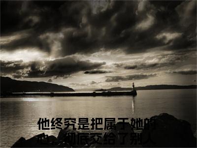 许念希盛楚尧（他终究是把属于她的心，彻底交给了别人最新全章节大结局）全文阅读-许念希盛楚尧他终究是把属于她的心，彻底交给了别人在线小说免费阅读