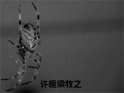 许栀梁牧之小说全文免费阅读_许栀梁牧之（许栀梁牧之）最新章节列表笔趣阁