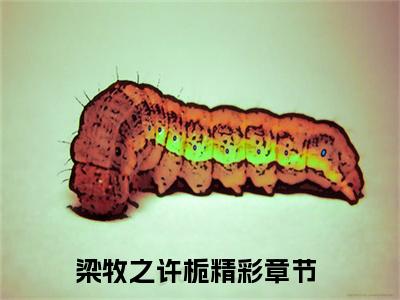 梁牧之许栀小说（梁牧之许栀）无弹窗大结局-梁牧之许栀完整版免费阅读