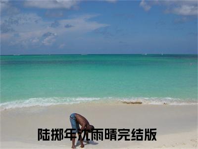 陆掷年沈雨晴的小说全文免费阅读无弹窗，主角名字是陆掷年沈雨晴的小说在线免费阅读大结局