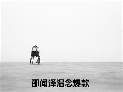 邵闻泽温念完整版（邵闻泽温念小说）全文免费阅读无弹窗大结局_邵闻泽温念最新章节（邵闻泽温念全文）