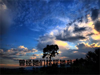 何云晞赵祁安（主角是曾经她们称呼她救世主，如今都叫她异种全文免费阅读无弹窗）_何云晞赵祁安全文免费阅读无弹窗大结局