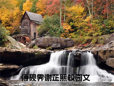 傅砚霁谢芷熙全文免费最后一章在线阅读 傅砚霁谢芷熙全文小说完整版