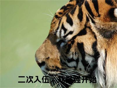 小说王晨免费在线阅读-小说主角叫二次入伍，从最强开始的小说完整版免费读全文