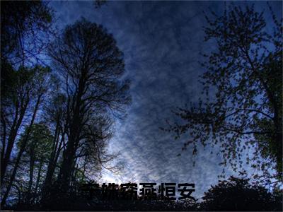 小说全文免费阅读无弹窗大结局_（宁姝窈燕恒安）全文在线阅读