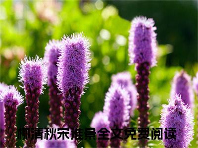 那个说永远爱她的人，变心了全文免费阅读无弹窗大结局_那个说永远爱她的人，变心了全文阅读_笔趣阁（柳清秋宋淮景）