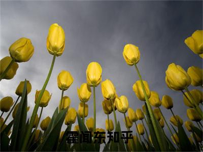 小说名字是：港岛大富豪小说免费阅读无弹窗，小说名字是：霍闻东的小说在线阅读无删减