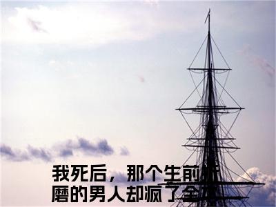 易溪赵少辞热文小说全文阅读-精彩美文我死后，那个生前折磨的男人却疯了免费阅读