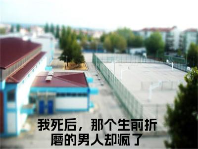 我死后，那个生前折磨的男人却疯了小说易溪赵少辞无弹窗免费阅读-最新小说我死后，那个生前折磨的男人却疯了（易溪赵少辞）全文阅读