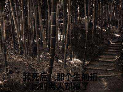 我死后，那个生前折磨的男人却疯了全本资源（易溪赵少辞）全文免费阅读无弹窗大结局_易溪赵少辞最新章节列表（我死后，那个生前折磨的男人却疯了）