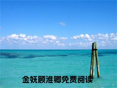 金妩顾淮卿小说（金妩顾淮卿）全文免费阅读无弹窗_金妩顾淮卿全文免费阅读无弹窗最新章节列表笔趣阁（金妩顾淮卿）