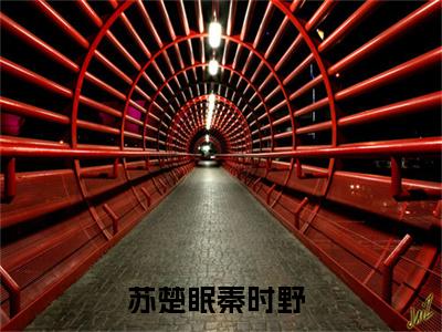 苏楚眠秦时野全文免费阅读无弹窗大结局-苏楚眠秦时野最新章节免费阅读