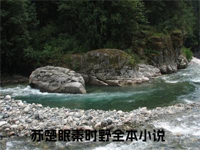 苏楚眠秦时野全文免费阅读无弹窗大结局，苏楚眠秦时野小说精彩免费试读