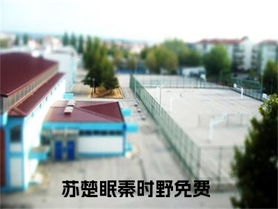 苏楚眠秦时野小说（苏楚眠秦时野）全文免费阅读无弹窗大结局_苏楚眠秦时野小说免费阅读无弹窗最新章节列表_笔趣阁