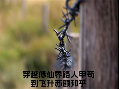 穿越修仙界路人甲苟到飞升苏颜（穿越修仙界路人甲苟到飞升苏颜）全文小说在线阅读-穿越修仙界路人甲苟到飞升苏颜全章节最新阅读