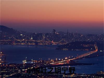 《叶之钥宁野》最新章节_叶之钥宁野全文阅读