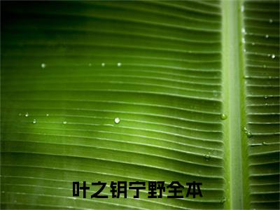 叶之钥宁野是什么小说-叶之钥宁野免费小说在线阅读