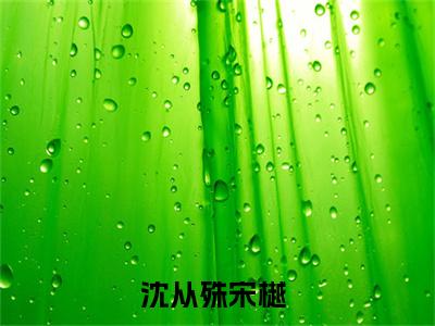 沈从殊宋樾全文免费阅读无弹窗大结局_沈从殊宋樾最新章节列表笔趣阁