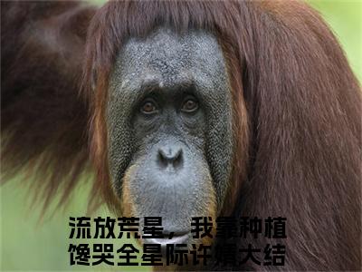 流放荒星，我靠种植馋哭全星际许婧（流放荒星，我靠种植馋哭全星际许婧全文免费阅读）完结阅读_流放荒星，我靠种植馋哭全星际许婧全文免费阅读免费看全文