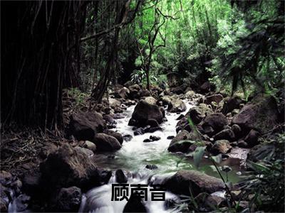 去父留子后，年代大佬急红了眼精选热门好书-去父留子后，年代大佬急红了眼（顾南音）全文无删减版在线阅读