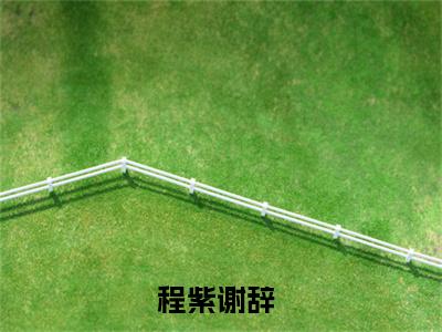 程紫谢辞（九零娇俏小甜妻，嫁个硬汉生崽崽）全文免费阅读大结局_九零娇俏小甜妻，嫁个硬汉生崽崽无弹窗最新章节列表