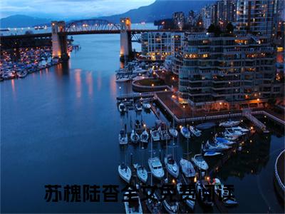 高赞小说苏槐陆杳（苏槐陆杳小说免费阅读）完结阅读_苏槐陆杳小说免费阅读免费看全文