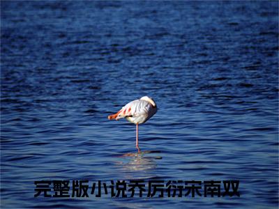 乔厉衍宋南双小说免费阅读-乔厉衍宋南双无广告全文阅读