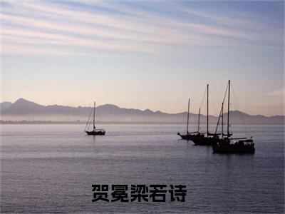 贺冕梁若诗小说（贺冕梁若诗）全文免费阅读无弹窗大结局_贺冕梁若诗小说最新章节列表_笔趣阁（贺冕梁若诗）