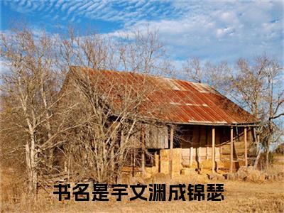 宇文渊成锦瑟-宇文渊成锦瑟新书热荐免费小说