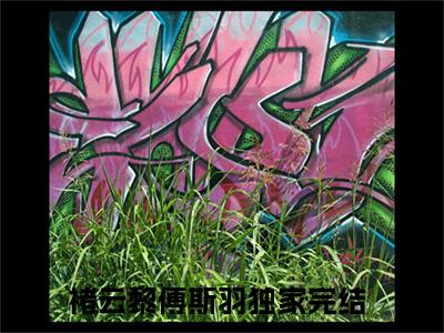 老书虫良心推荐最新小说（褚云黎傅斯羽）主角褚云黎傅斯羽全文全章节免费阅读