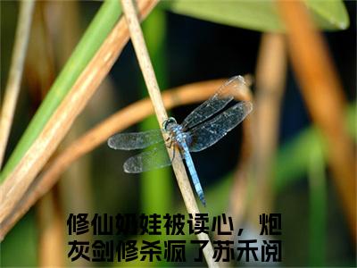 修仙奶娃被读心，炮灰剑修杀疯了苏禾（修仙奶娃被读心，炮灰剑修杀疯了苏禾全文免费阅读）完结阅读_修仙奶娃被读心，炮灰剑修杀疯了苏禾全文免费阅读免费看全文