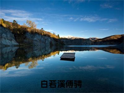 白若溪傅骋全文免费阅读无弹窗大结局-白若溪傅骋 全文全章节免费阅读