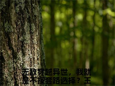 《无敌穿越异世，我就是不按套路选择？王尘完整小说》无敌穿越异世，我就是不按套路选择？王尘完结版全章节阅读